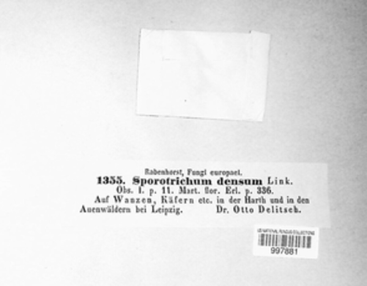 Botrytis densa image